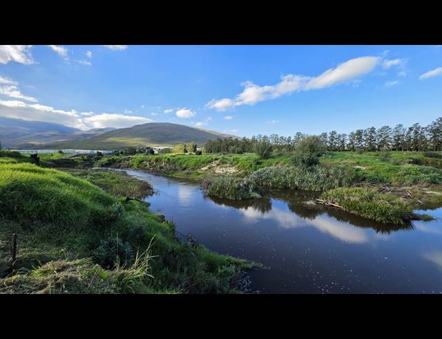 128,480M² FARM FOR SALE IN GREYTON